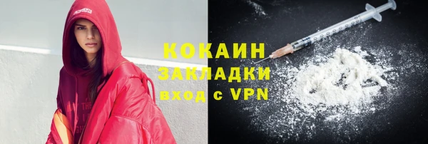твердый Арсеньев