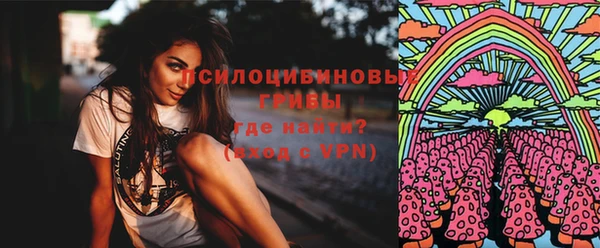 твердый Арсеньев