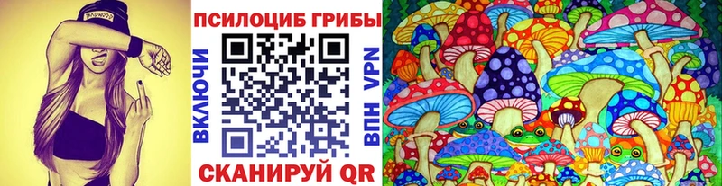 как найти закладки Навашино мега ссылка Галлюциногенные грибы MAGIC MUSHROOMS